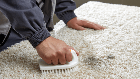 Professional Rug Cleaning Ravenhall